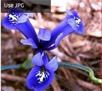 十个网页设计技巧详解