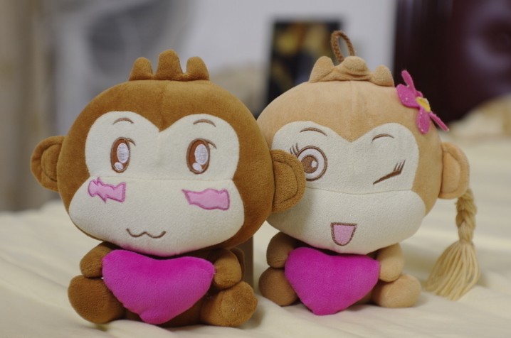 偶是一只别人眼里的程序猿