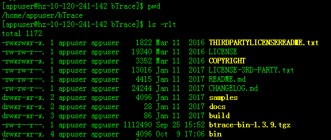 Java在线问题排查利器之Btrace&Greys