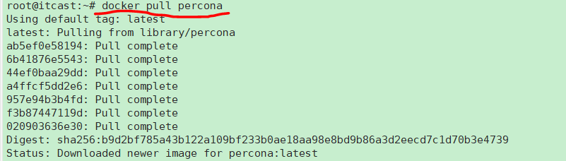 Docker创建容器时目录权限踩坑