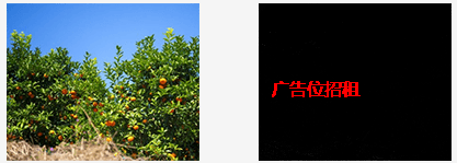 vue中使用带隐藏文本信息的图片、图片水印的方法