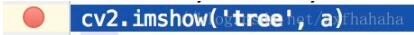 在pycharm中debug 实时查看数据操作(交互式)