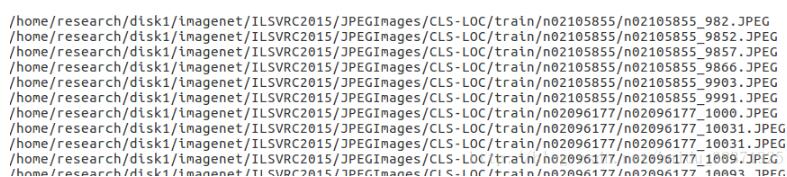 使用darknet框架的imagenet数据分类预训练操作