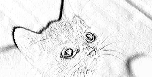 1595324664542894.png eccc7092ec2c79e134b67c4b3e4cbab.png