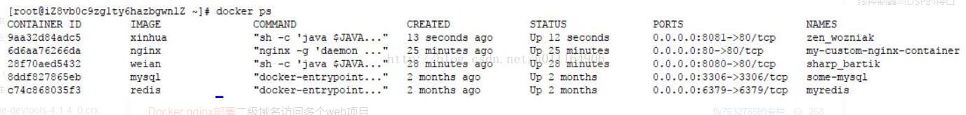 docker nginx实现一个主机部署多个站点操作