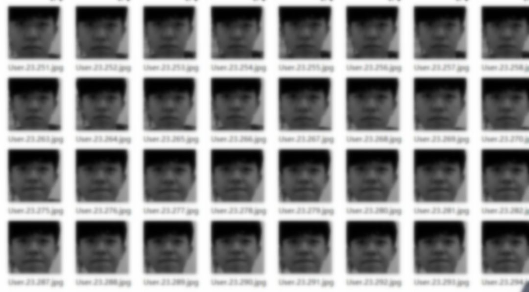 上图为转换为灰度图片之后保存在data目录下的照片