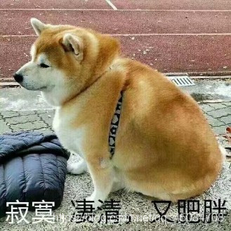 Java多线程面试题(面试官常问)