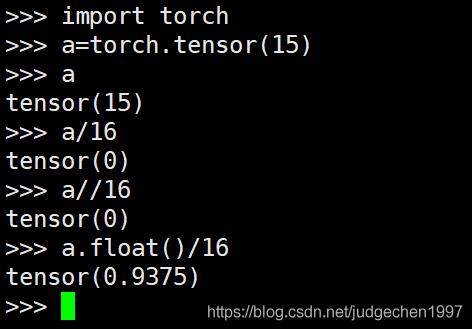 pytorch tensor int型除法出现的问题