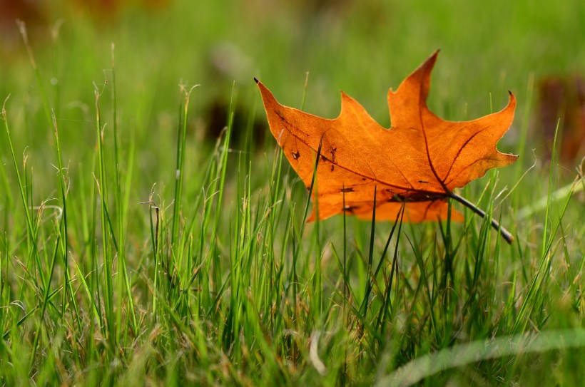 探究一个LED如何入门Linux内核