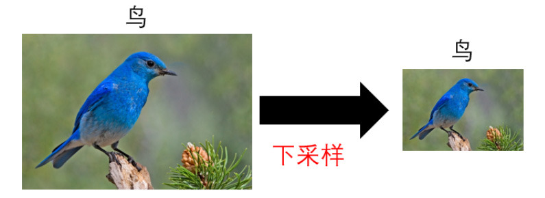 一文带你了解CNN(卷积神经网络)